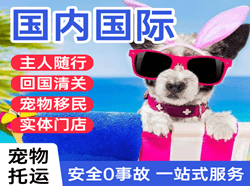 咸阳空运代理国际宠物托运 【国